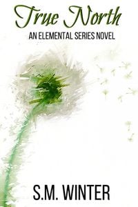 Produktbild: True North (Elemental, #1)