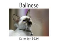 Produktbild: Balinese (Wandkalender 2024, Kalender DIN A4 quer, Monatskalender im Querformat mit Kalendarium, Das perfekte Geschenk)