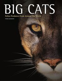 Produktbild: Big Cats