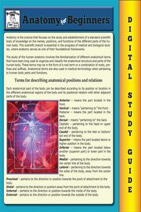Produktbild: Anatomy For Beginners ( Blokehead Easy Study Guide)