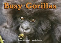 Produktbild: Busy Gorillas-Board