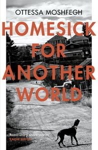 Produktbild: Homesick For Another World