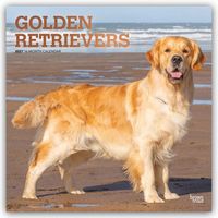 Produktbild: Golden Retrievers &ndash; Golden Retriever 2027 &ndash; 16-Monatskalender