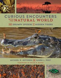 Produktbild: Curious Encounters with the Natural World