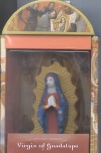 Produktbild: Pocket Saints: Virgin of Guadalupe with Cards and Other and Booklet