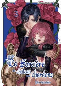 Produktbild: La sorci&egrave;re du ch&acirc;teau aux chardons. Tome 3