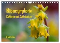 Produktbild: Bl&uuml;tensymphonie - Kakteen und Sukkulenten (Wandkalender 2026 DIN A4 quer), CALVENDO Monatskalender