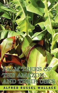 Produktbild: Palm Trees of the Amazon and Their Uses