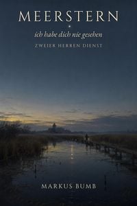 Produktbild: Meerstern, ich habe dich nie gesehen