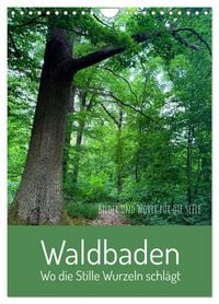 Produktbild: Waldbaden &ndash; Wo die Stille Wurzeln schl&auml;gt (Wandkalender 2027 DIN A4 hoch), CALVENDO Monatskalender