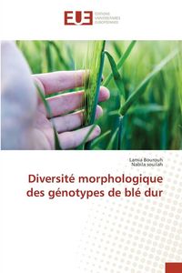 Produktbild: Diversit&eacute; morphologique des g&eacute;notypes de bl&eacute; dur