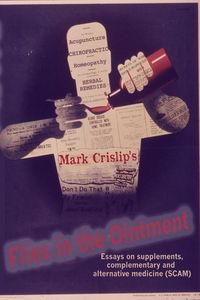 Produktbild: Flies in the Ointment