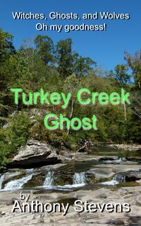 Produktbild: Turkey Creek Ghost
