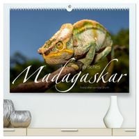 Produktbild: Tierisches Madagaskar (hochwertiger Premium Wandkalender 2026 DIN A2 quer), Kunstdruck in Hochglanz