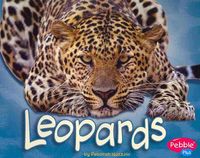 Produktbild: Nuzzolo, D: Leopards