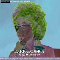 Bild vom Artikel Dark Exotica: As Dug By Lux And Ivy vom Autor Various Artists