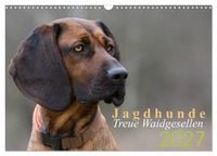 Produktbild: Jagdhunde - Treue Waidgesellen (Wandkalender 2027 DIN A3 quer), CALVENDO Monatskalender