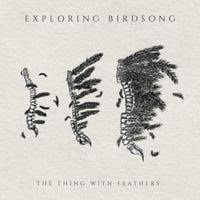 Bild vom Artikel The Thing With Feathers vom Autor Exploring Birdsong