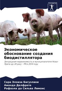 Produktbild: Jekonomicheskoe obosnowanie sozdaniq biodistillqtora
