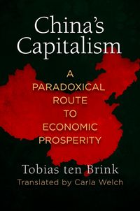 Produktbild: China's Capitalism
