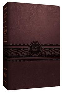 Produktbild: Personal Size Large Print Bible-Mev
