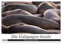 Produktbild: Galapagos-Inseln - Ein Paradies f&uuml;r Tiere (Wandkalender 2026 DIN A2 quer), CALVENDO Monatskalender