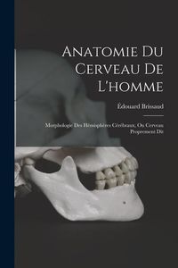 Produktbild: Anatomie Du Cerveau De L'homme