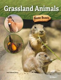 Produktbild: Grassland Animals