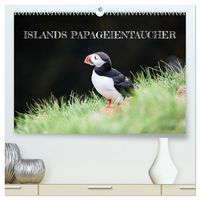 Produktbild: Islands Papageientaucher (hochwertiger Premium Wandkalender 2026 DIN A2 quer), Kunstdruck in Hochglanz