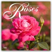 Produktbild: Roses &ndash; Rosen 2026 &ndash; 16-Monatskalender