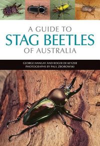 Produktbild: A Guide to Stag Beetles of Australia