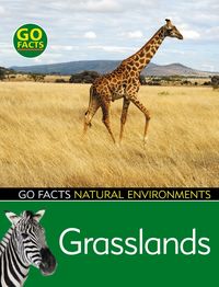 Produktbild: Rohr, I: Grasslands