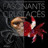 Produktbild: Fascinants crustac&eacute;s