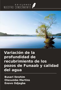 Produktbild: Variaci&oacute;n de la profundidad de recubrimiento de los pozos de Funaab y calidad del agua