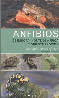 Produktbild: Anfibios de Europa, Norte de &Aacute;frica y Oriente Pr&oacute;ximo : una gu&iacute;a fotogr&aacute;fica