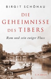 Bild vom Artikel Die Geheimnisse des Tibers vom Autor Birgit Schönau