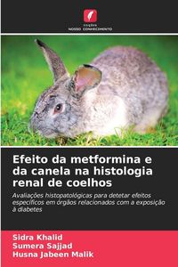 Produktbild: Efeito da metformina e da canela na histologia renal de coelhos
