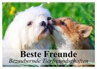 Produktbild: Beste Freunde - Bezaubernde Tierfreundschaften (Wandkalender 2026 DIN A2 quer), CALVENDO Monatskalender