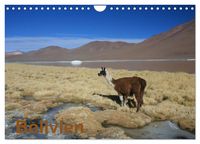 Produktbild: Bolivien (Wandkalender 2026 DIN A4 quer), CALVENDO Monatskalender