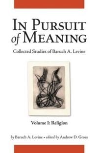Produktbild: In Pursuit Of Meaning