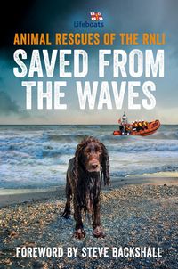 Produktbild: Saved from the Waves