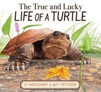 Produktbild: The True and Lucky Life of a Turtle
