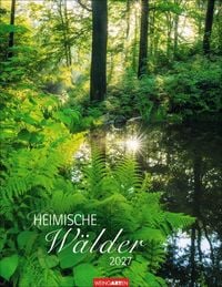 Produktbild Heimische Wälder Kalender 2027
