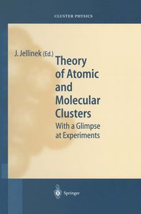 Produktbild: Theory of Atomic and Molecular Clusters