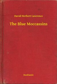 Produktbild: The Blue Moccassins