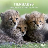Produktbild: Tierbabys / Baby Animals 2027