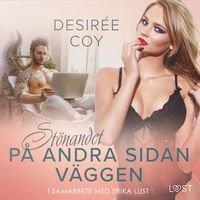 Produktbild: St&ouml;nandet p&aring; andra sidan v&auml;ggen - erotisk novell