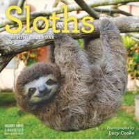 Produktbild: Sloths Mini Wall Calendar 2018