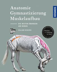 Bild vom Artikel Anatomie, Gymnastizierung, Muskelaufbau vom Autor Gillian Higgins