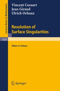 Produktbild: Resolution of Surface Singularities